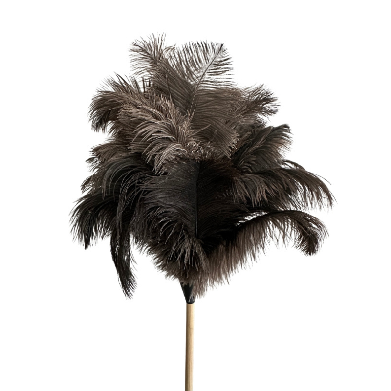 Royal telescopic duster - easy dusting at every height