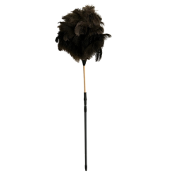 Royal telescopic duster - easy dusting at every height