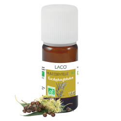 Organic Eucalyptus Essential Oil | Eucalyptus Globulus Essential Oils