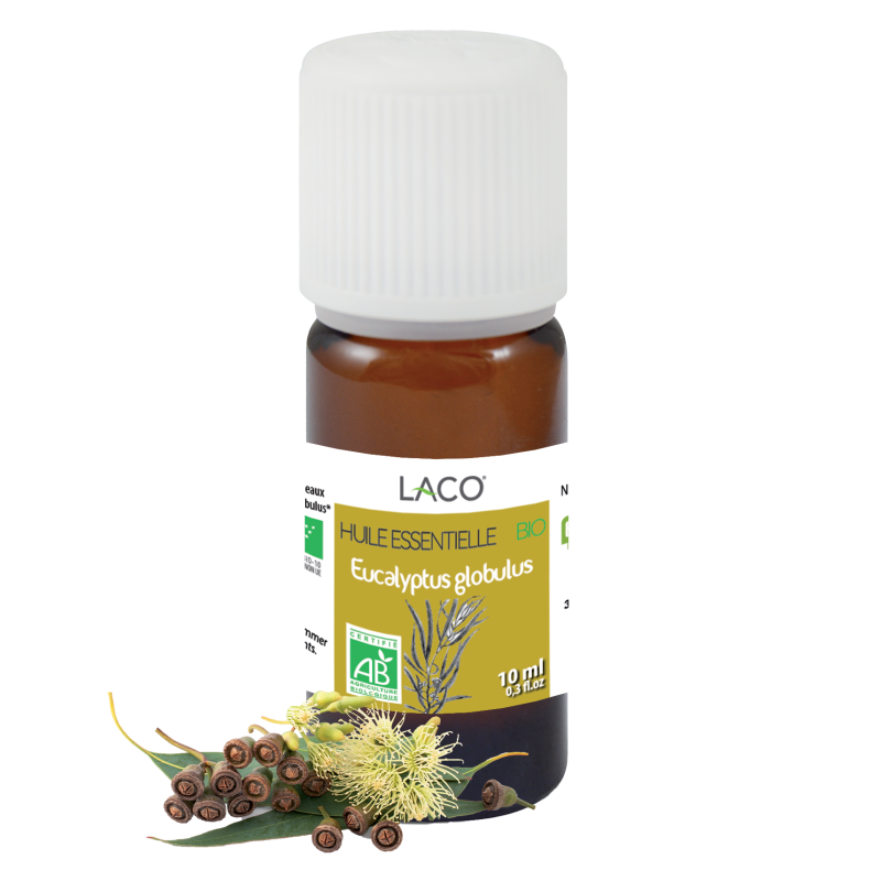 Organic Eucalyptus Essential Oil | Eucalyptus Globulus Essential Oils