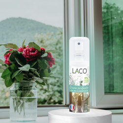 Purifying mist with essential oils - fresh & clean air