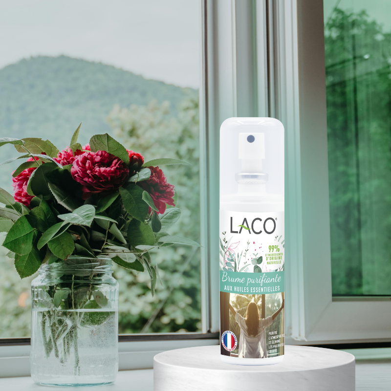 Purifying mist with essential oils - fresh & clean air