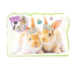 Bébés Passion – Petits lapins couronnés : un livre adorable à regarder et à collectionner !