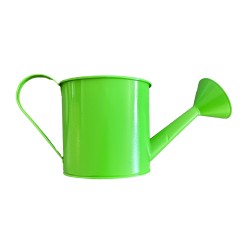 Arrosoir en métal vert – Grand format robuste et décoratif