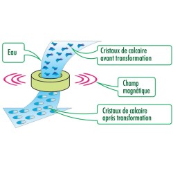 Anneau anti-calcaire pour WC : anti calcaire magnétique