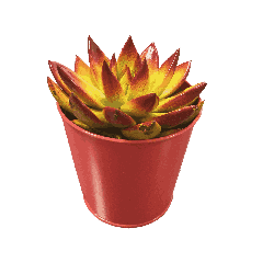 Gant à Récurer | Gant multi usages double face