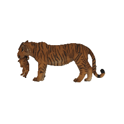 Figurine tigre et son petit – Maman tigre transportant son bébé