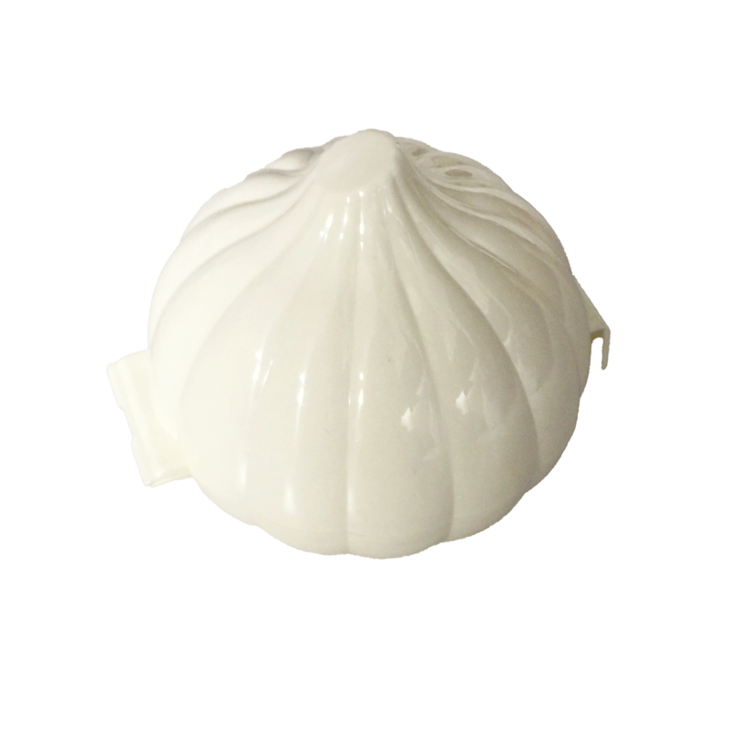 Boîte à ail en plastique rigide – Forme ail, pratique et hygiénique