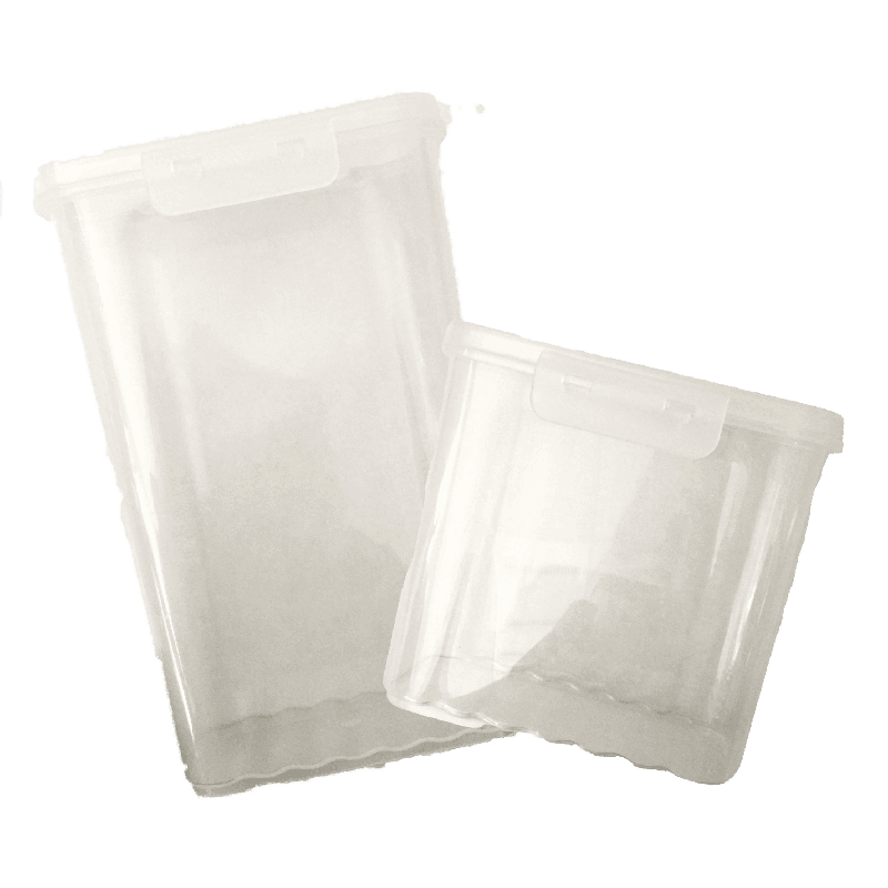Lot de 2 boîtes de rangement transparentes avec couvercle à clip – Pratiques, légères et polyvalentes