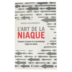 Livre L’art de la niaque développement personnel