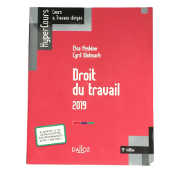 Livre droit du travail 2019 cours et travaux dirigés