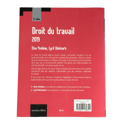 Livre droit du travail 2019 cours et travaux dirigés