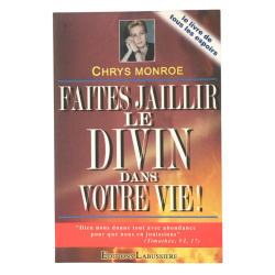 Livre faites jaillir le divin dans votre vie spiritualité