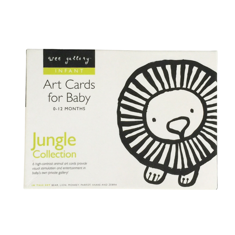 Cartes visuelles bébé noir et blanc jungle