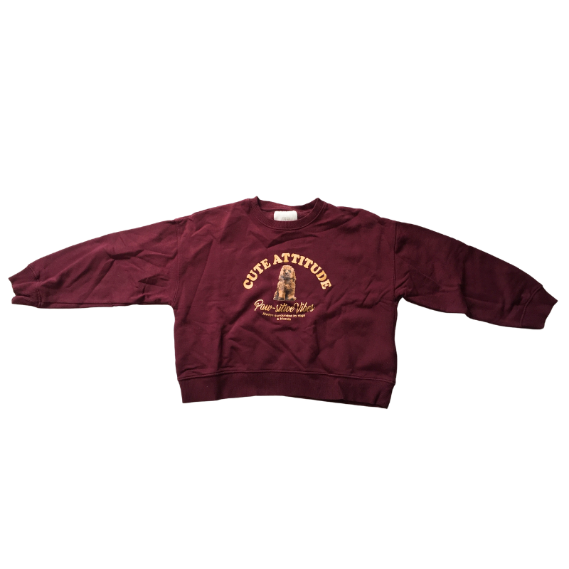 Sweat bordeaux Zara fille 12/13 ans – Cute Attitude