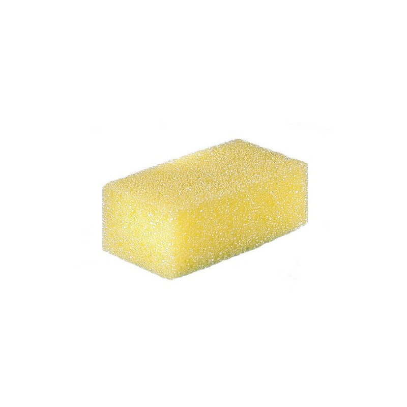 Light and hard-wearing sponge | Pierre d'Argent sponge