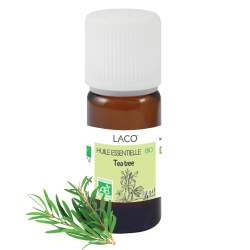 Tea tree essential oil - purifying & antibacterial