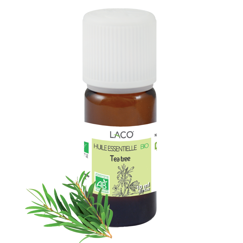 Tea tree essential oil - purifying & antibacterial
