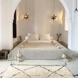 Fabric, carpet & rug cleaner - removes stains effortlessly