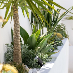 Plant and Flower Fertiliser | House plant and outdoor plant fertiliser