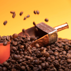Sérum Précieux Contour des yeux Au Café BIO