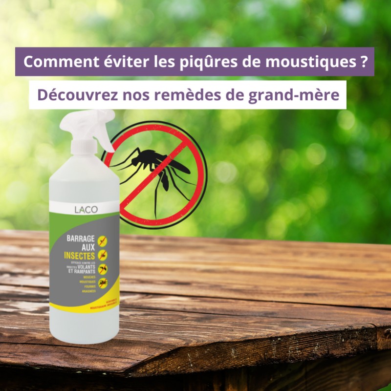 Comment éviter les piqûres de moustiques ? Découvrez nos remèdes de grand-mère
