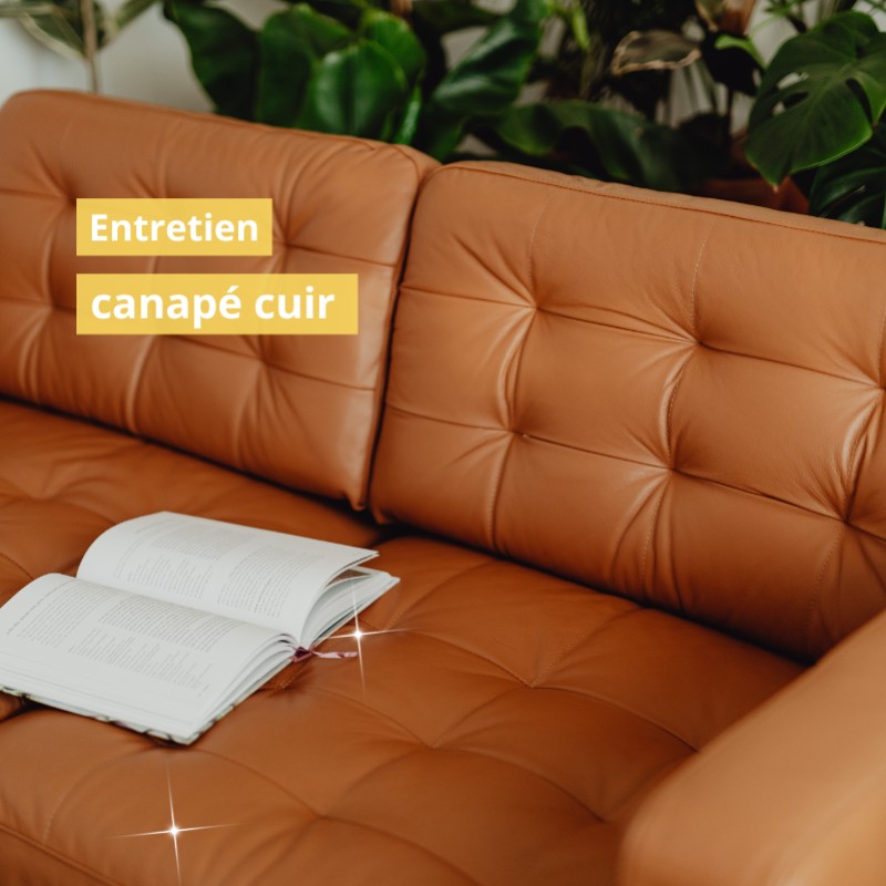 Entretien canapé cuir