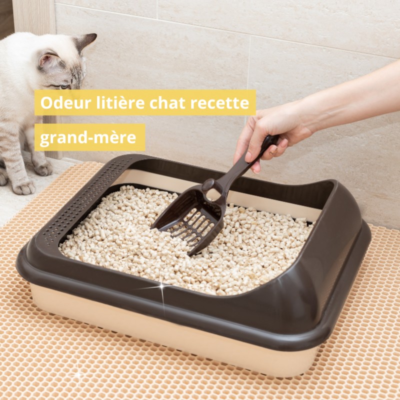 Odeur litière chat recette grand mère