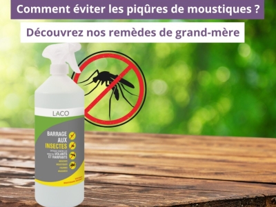 Comment éviter les piqûres de moustiques ? Découvrez nos remèdes de grand-mère