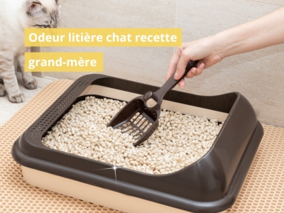 Odeur litière chat recette grand mère