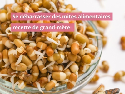 Se débarrasser des mites alimentaires recette grand-mère